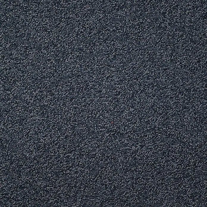 Bricoflor Teppichboden Meterware 2,5x4m, Schlinge meliert, dunkel-blau - Schlinge, 100 % Polyamid (PA), dunkel-blau - Nahaufnahme eines dunkelblauen, strukturierten Teppichs mit grauen und schwarzen Sprenkeln.