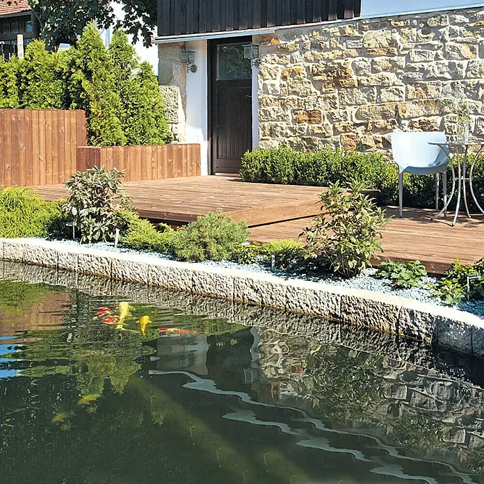 Terrassendiele - Kiefer, 200 x 14,5 x 2,8 cm, Teakfarben - Nahaufnahme eines Gartenteichs mit Koi-Karpfen, umgeben von einer Steinmauer und einer Holzterrasse mit üppiger Bepflanzung.