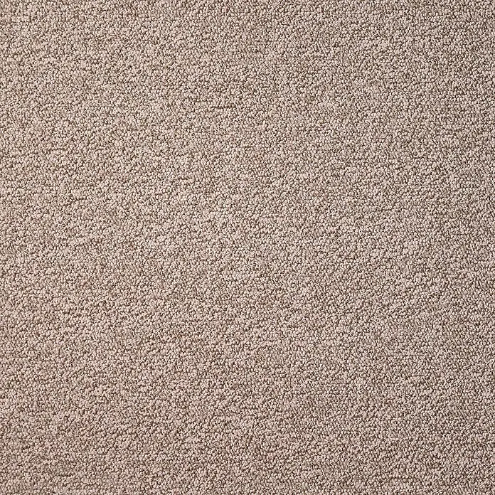 Bricoflor Teppichboden Meterware Schlinge meliert, hell-braun, 200 x 400 cm - Breite: 400 cm, Schlinge, 100 % Polyamid (PA), hell-braun - Hellbeiger, strukturierter Teppich mit dichtem, meliertem Flor.