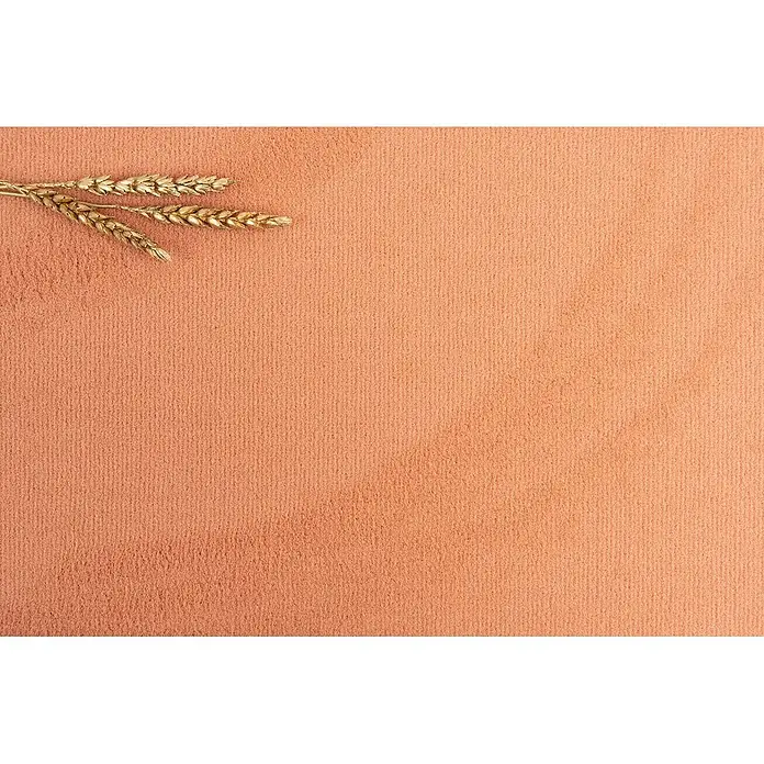 Bricoflor Teppichboden Meterware 2,5x4m, Velours uni, orange terra - Velours, 100 % Polyamid (PA), orange terra - Drei goldene Weizenähren auf einer pfirsichfarbenen, strukturierten Oberfläche.
