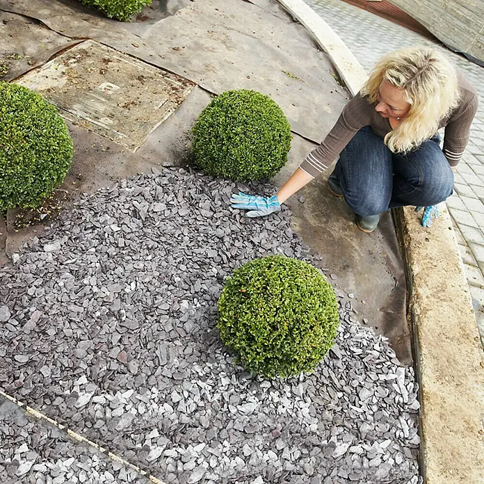 Gardol Premium Unkrautvlies Kies - Polypropylen, 15 x 1 m - Frau ordnet grauen Schiefer um grüne Buchsbäume in einem Gartenbeet an, um eine stilvolle und pflegeleichte Gartengestaltung zu schaffen.