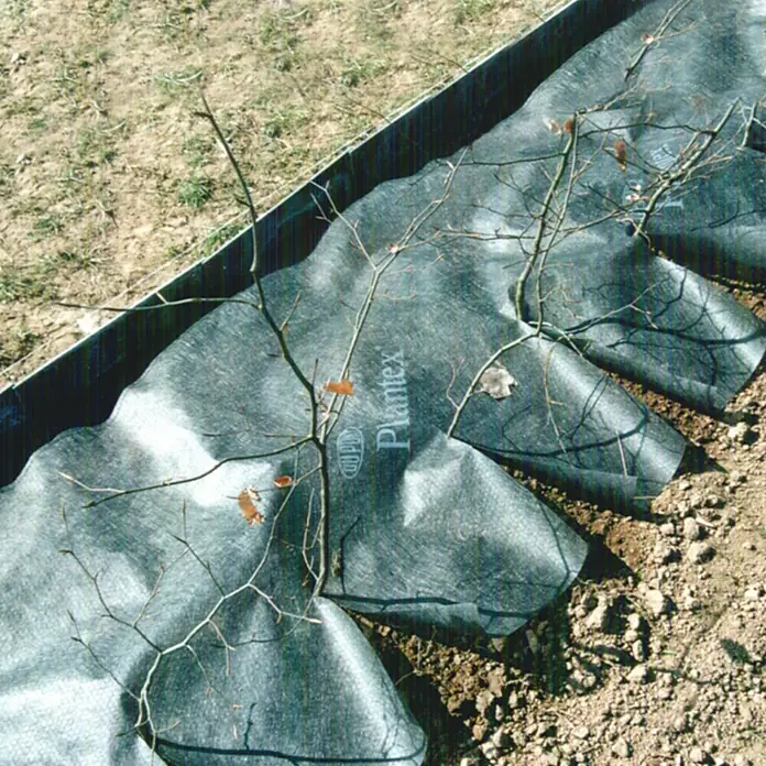 Gardol Premium Heckenvlies - Polypropylen, 20 x 0,5 m - Ein Bild des Pflanzvlieses "Plantex", das um junge Bäume gelegt wurde, um das Wachstum zu fördern und Unkraut zu unterdrücken.