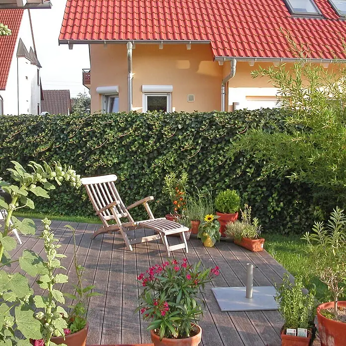 Helix Fertighecke Hecke am laufenden Meter® - Hecke Hedera helix 'Woerneri', 120 x 20 x 100 cm - Hölzerner Liegestuhl auf einer Gartenterrasse, umgeben von Pflanzen.