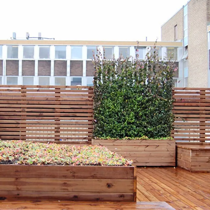 Helix Fertighecke Hecke am laufenden Meter® - Hecke Euonymus fort. 'Coloratus', 120 x 20 x 100 cm - Dachterrasse mit Holzboden, Lattenzaun und großen Holzpflanzgefäßen mit vielfältigen grünen und rötlichen Pflanzen.