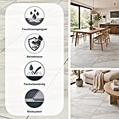 LOGOCLIC Ceramico Laminat Amelia (Amelia, 638 x 330 x 8 mm) | BAUHAUS