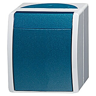 Busch-Jaeger Ocean Kreuzschalter 2601/7 W-53 (Blaugrün, Grau, Aufputzmontage, 10 A)