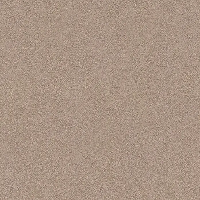 A.S. Création Vliestapete Innova - Cappuccino, Uni, 10,05 x 0,53 m - Detailaufnahme einer strukturierten, beigen Oberfläche, ideal für Hintergründe oder Texturen mit einer feinen, unregelmäßigen Struktur.