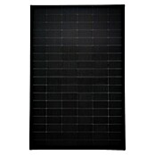 Solarmodul Glas Bifazial (L x B x H: 172,2 x 113,4 x 3 cm, 445 W) | BAUHAUS