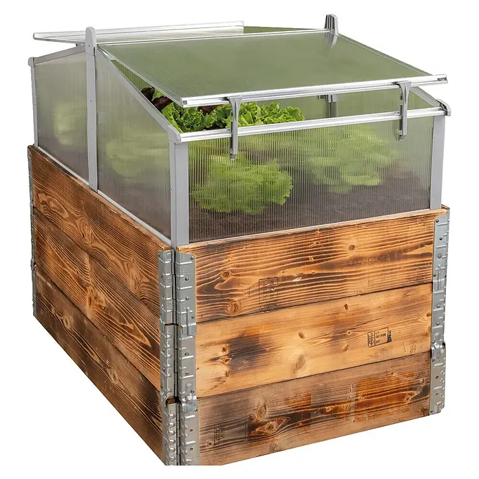 Juwel Vivero superpuesto Easy-Fix 120/80 - L x An x Al: 120 x 80 x 40 cm - Cama de jardín elevada de madera con cubierta de invernadero transparente de marco plateado, con lechuga verde creciendo dentro.