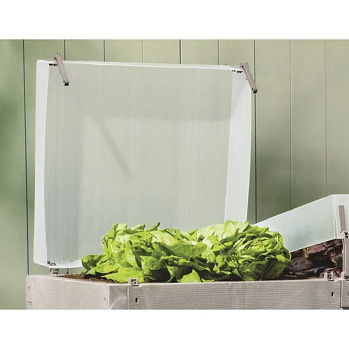 Juwel Huerto Timber Set - 130 x 60 x 52 cm, Plástico, Gris - Invernadero frío de plástico translúcido y acanalado abierto sobre lechuga verde en un bancal elevado.