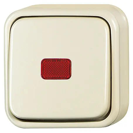 Busch-Jaeger Duro 2000 AP Kontrollschalter 2601/6 SKAP