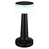 Globo Akumulatorska namizna svetilka Angelika  (1,2 W, Ø x V: 90 x 215 mm, IP20) | 3017 - Tischleuchte | CACJ - Tischleuchte | CAC - Indoorleuchten | CA - Beleuchtung | C - Elektro | BAUHAUS