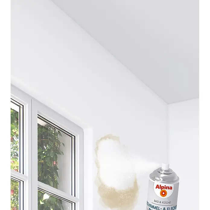 Alpina Wandfarbe Schimmel- & Fleckenblocker - Weiß, 400 l - Alpina Sprühdose reinigt eine schimmlige Wand neben einem Fenster.