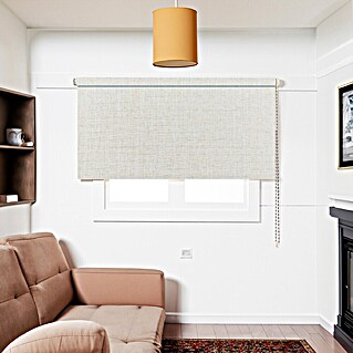Estor enrollable opaco Oscurite (An x Al: 165 x 250 cm, Beige)