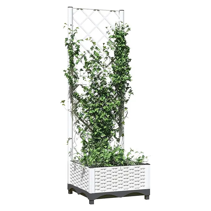 Furnicato Hochbeet - 40 x 40 x 121,5 cm, Kunststoff, Weiß - Weißer Pflanzkasten im Rattan-Stil mit integriertem weißen Rankgitter, bewachsen mit grünem Efeu.