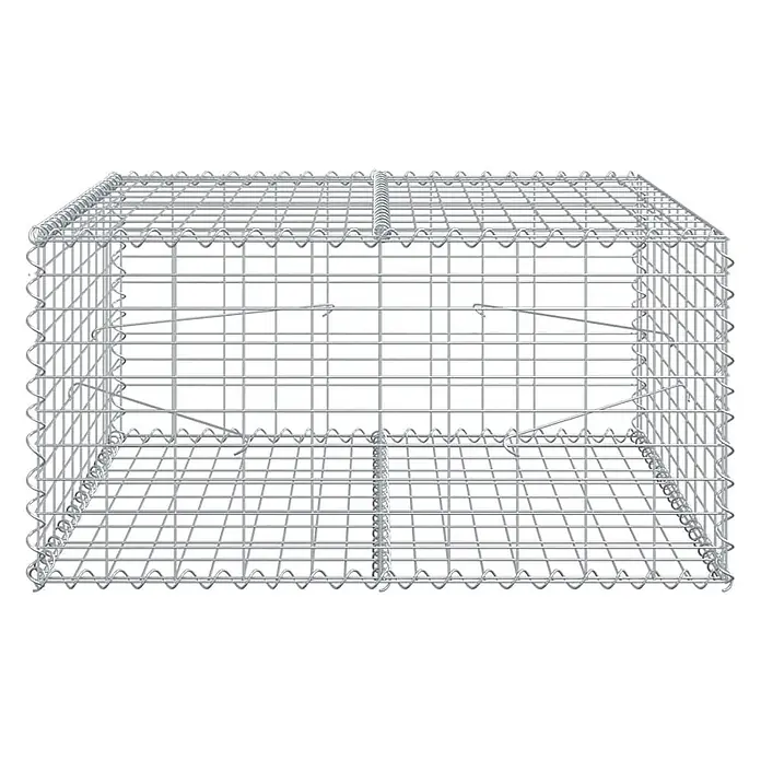 Furnicato Gabione - 100 x 100 x 50 cm, Metall, Maschenbreite: 50 mm, Maschenhöhe: 100 mm - Leerer, rechteckiger Gabionenkorb aus silberfarbenem Drahtgeflecht, bereit zum Befüllen.