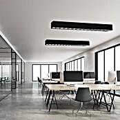 REV LED-Lichtleiste Office Raster (L x B x H: 60 x 5 x 7,5 cm, Lichtfarbe: Neutralweiß, 24 W, 230 V) | BAUHAUS