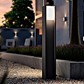Philips Hue Außensockelleuchte Turaco (Farbe Gehäuse: Anthrazit, Warmweiß, 121 x 121 x 401 mm, Mit Leuchtmittel) | BAUHAUS