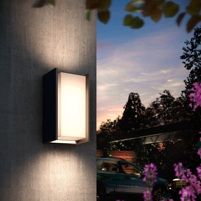Philips Hue LED-Außenwandleuchte Turaco (Farbe Gehäuse: Anthrazit, 118 x 101 x 212 mm, IP44) | BAUHAUS