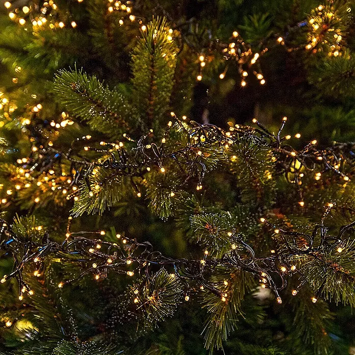 ECD Germany LED-Clusterlichterkette 1512 LEDs 11m für Innen & Außen IP44 Warmweiß - Außen, 1.512 Stk., Netzbetrieben - Warme weiße LED-Cluster-Lichterkette mit dunklen Kabeln an einem grünen Weihnachtsbaum.