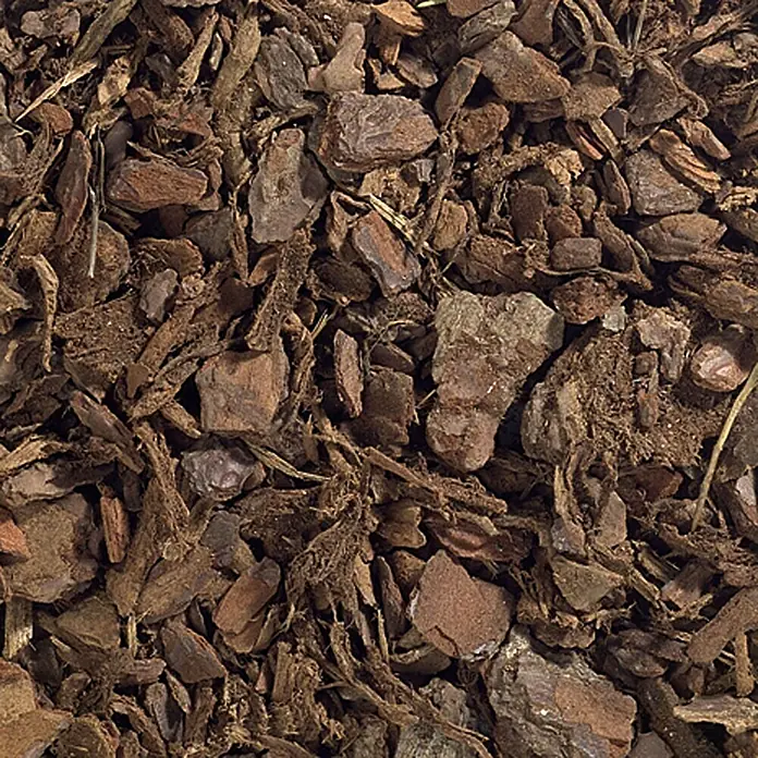Prestohum Dekor-Mulch Pinien-Rinde - 60 l, 10 mm - 20 mm, Braun - Nahaufnahme von Kiefernrinde, ideal für Gartenwege oder als Mulch, bietet natürliche Unkrautbekämpfung und Feuchtigkeitsspeicherung.