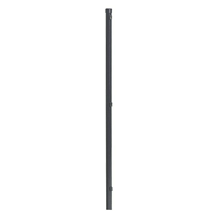 Set de postes para verja (5 uds., Largo: 150 cm)