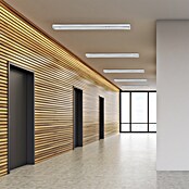 REV LED-Lichtleiste Lumus Flexline (L x B x H: 153 x 5,5 x 5,6 cm, Lichtfarbe: Neutralweiß, 24 W, 230 V) | BAUHAUS