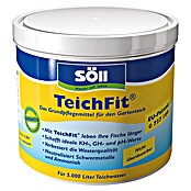 Söll Grundpflegemittel TeichFit (500 g)