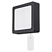 Ferotehna LED panel  (D x Š x V: 300 x 300 x 31 mm, 24 W, 2.280 lm, Antracit, Kvadratna) | BAUHAUS