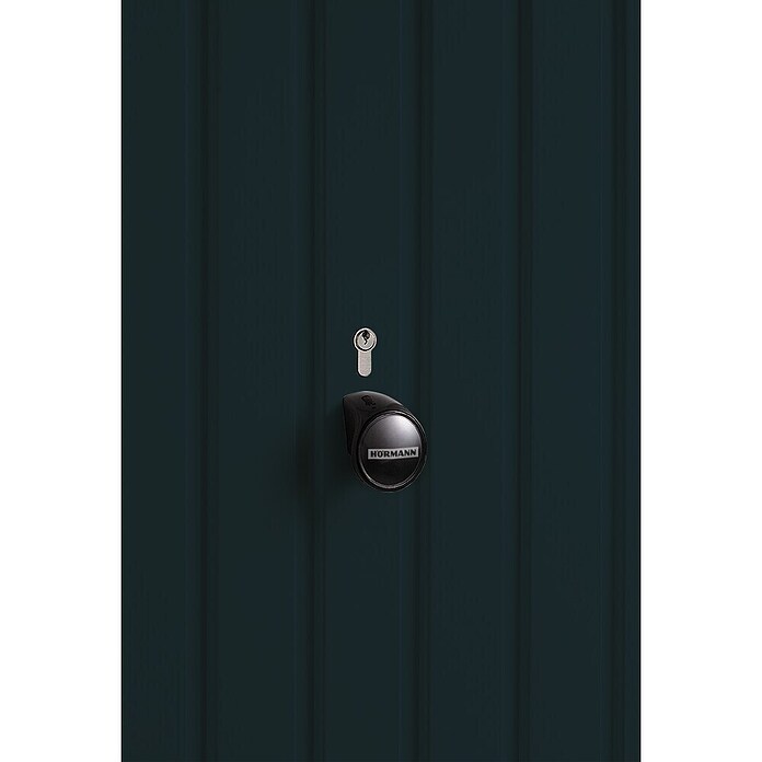 Hörmann Garagentor Berry N80 M902 (2 500 x 2 125 mm, Anthrazitgrau, Glatt) | BAUHAUS