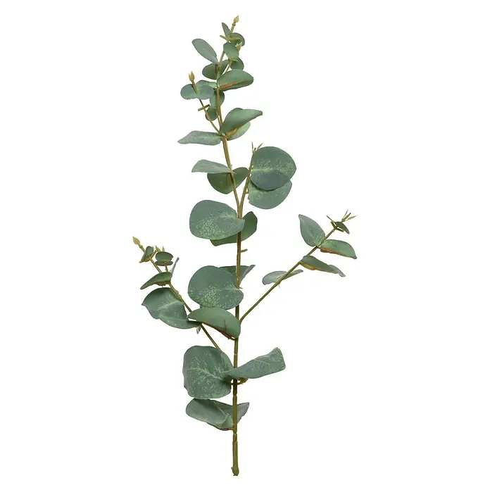 Planta artificial - Altura: 33 cm, Verde, Plástico - Rama de eucalipto verde con hojas ovaladas y pequeños brotes.