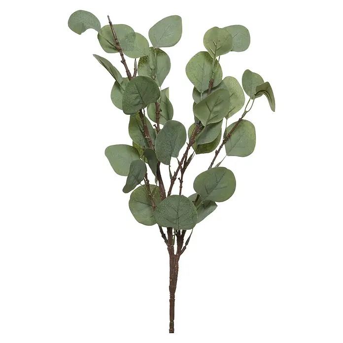 Planta artificial - Altura: 33 cm, Verde, Plástico - Rama de eucalipto artificial con hojas verdes y tallos marrones.