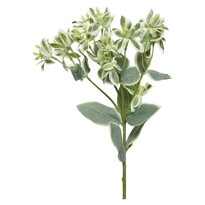 Planta artificial - Altura: 33 cm, Verde, Plástico - Planta artificial con follaje verde y blanco variegado, ideal para decoración.