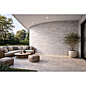Panel de pared Design Concrea (60 x 120 mm, Hormigón, 2 ud.) | BAUHAUS