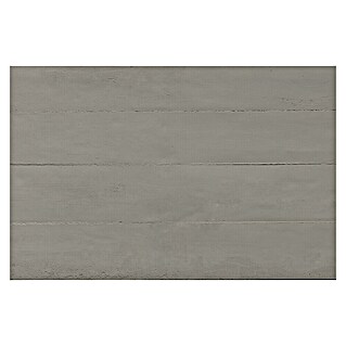Panel de pared Design Concrea (60 x 120 mm, Hormigón, 2 ud.)