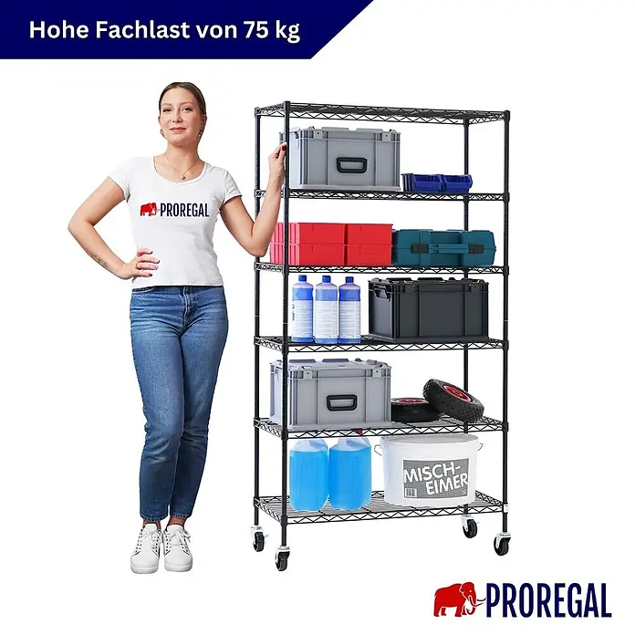 Proregal Metallregal Gitterregal HADES mit Rollen - H x B x T: 160 x 90 x 40 cm, Traglast pro Boden: 75 kg, Anzahl Böden: 6 Stk., Stecken, Schwarz - Schwarzes 6-etagiges Drahtregal auf Rollen, mit einer Frau daneben, betont 75 kg Fachlast pro Boden.
