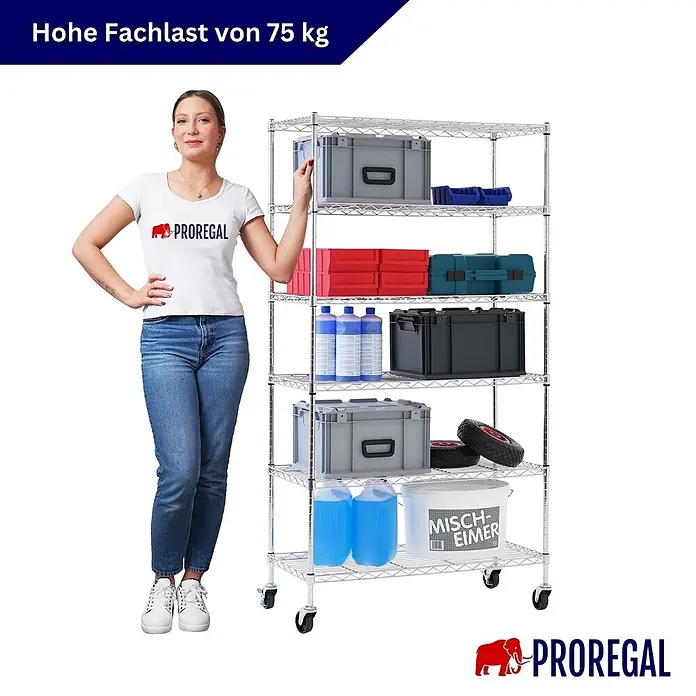 Proregal Metallregal Gitterregal HADES mit Rollen - H x B x T: 160 x 90 x 40 cm, Traglast pro Boden: 75 kg, Anzahl Böden: 6 Stk., Stecken, Chrom Silber - Verchromtes Drahtregal auf Rollen mit einer Person daneben. Die Fachlast beträgt 75 kg.