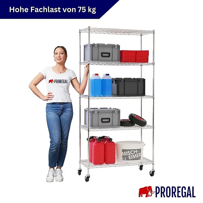 Proregal Metallregal Gitterregal HADES mit Rollen - H x B x T: 180 x 90 x 40 cm, Traglast pro Boden: 75 kg, Anzahl Böden: 5 Stk., Stecken, Chrom Silber - Verchromtes 5-Boden Metallregal auf Rollen, Frau zur Größenangabe. 75 kg Traglast pro Boden.