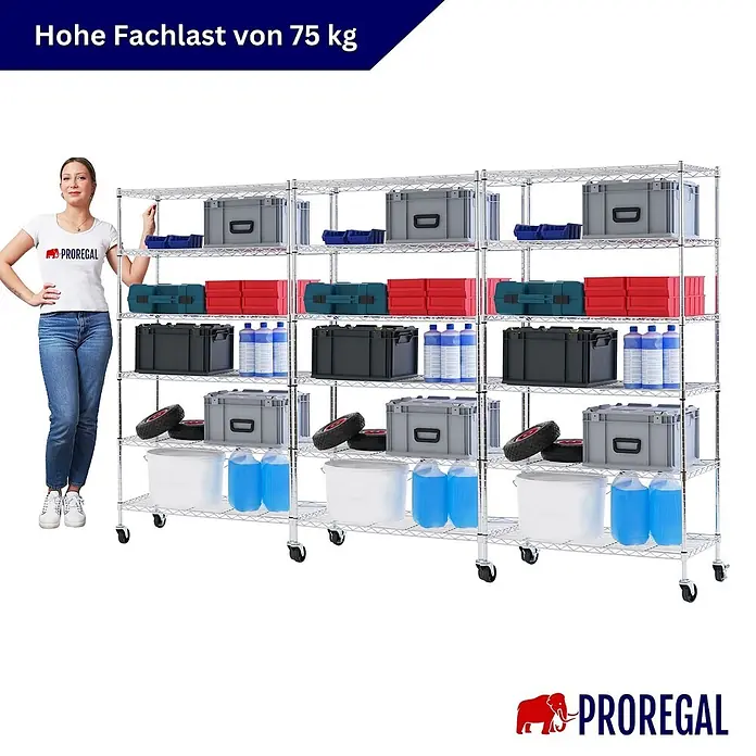 Proregal Metallregal 3er Set Gitterregal HADES mit Rollen - H x B x T: 160 x 90 x 40 cm, Traglast pro Boden: 75 kg, Anzahl Böden: 6 Stk., Stecken, Chrom Silber - Großes verchromtes Metallregal auf Rollen, gefüllt mit verschiedenen Aufbewahrungsbehältern und Flüssigkeiten. Eine Frau dient als Größenvergleich; 75 kg Fachlast.