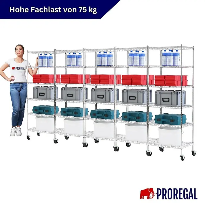 Proregal Metallregal 5er Set Gitterregal HADES mit Rollen - H x B x T: 160 x 60 x 40 cm, Traglast pro Boden: 75 kg, Anzahl Böden: 6 Stk., Stecken, Chrom Silber - Großes verchromtes Drahtregal auf Rollen, mit Lagerartikeln und einer Frau, betont 75 kg Fachlast.