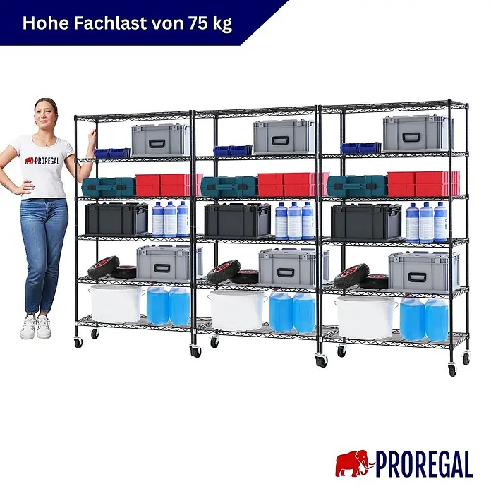Proregal Metallregal 3er Set Gitterregal HADES mit Rollen - H x B x T: 160 x 90 x 40 cm, Traglast pro Boden: 75 kg, Anzahl Böden: 6 Stk., Stecken, Schwarz - Schwarzes Metallregal auf Rollen mit Frau und verschiedenen Gegenständen, die seine Größe und 75 kg Fachlast zeigen.