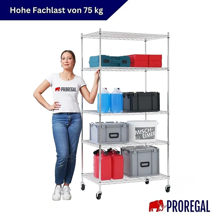 Proregal Metallregal Gitterregal HADES mit Rollen - H x B x T: 180 x 90 x 60 cm, Traglast pro Boden: 75 kg, Anzahl Böden: 5 Stk., Stecken, Chrom Silber - Verchromtes Drahtregal mit 5 Ablagen, gefüllt mit verschiedenen Behältern. Eine Frau steht daneben und zeigt die Höhe und 75 kg Traglast pro Fach.