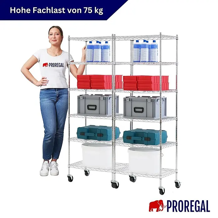 Proregal Metallregal 2er Set Gitterregal HADES mit Rollen - H x B x T: 160 x 60 x 40 cm, Traglast pro Boden: 75 kg, Anzahl Böden: 6 Stk., Stecken, Chrom Silber - Frau neben einem mobilen Chrom-Drahtregal, das seine hohe Fachlast von 75 kg und die Lagerung verschiedener Gegenstände zeigt.