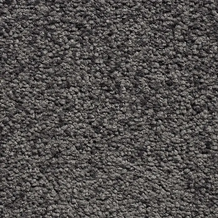 Bricoflor Teppichboden Meterware 5x4m, Velours Hochflor, grau anthrazit - Velours, 100 % Polypropylen (PP), grau anthrazit - Dunkelgrauer, strukturierter Teppich mit dichtem Schlingenflor.
