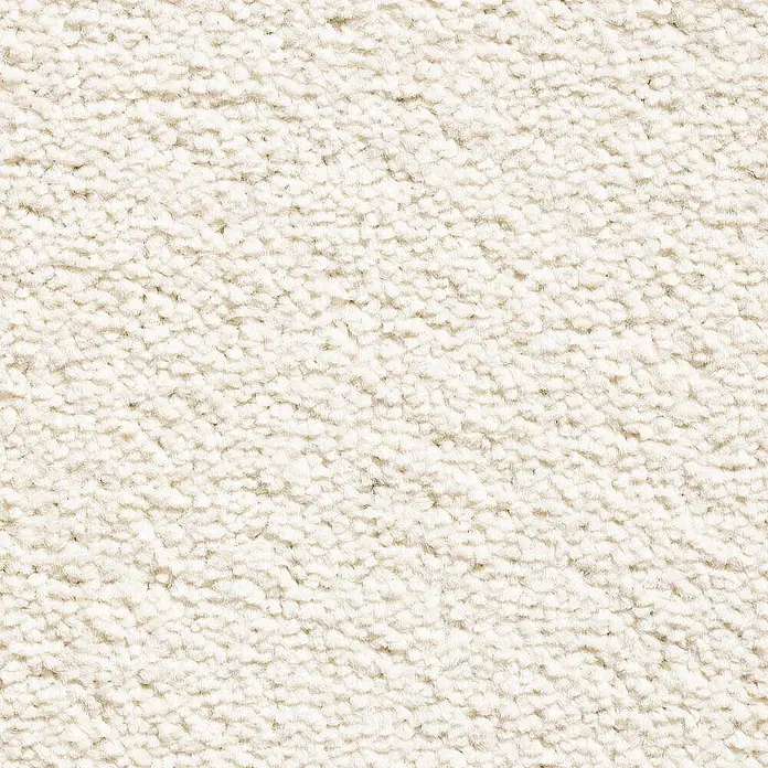 Bricoflor Teppichboden Meterware 2x4m, Velours Hochflor, beige weiß - Velours, 100 % Polypropylen (PP), beige weiß - Textur-Nahaufnahme eines hellbeigen, plüschigen Schlingenflor-Teppichs.