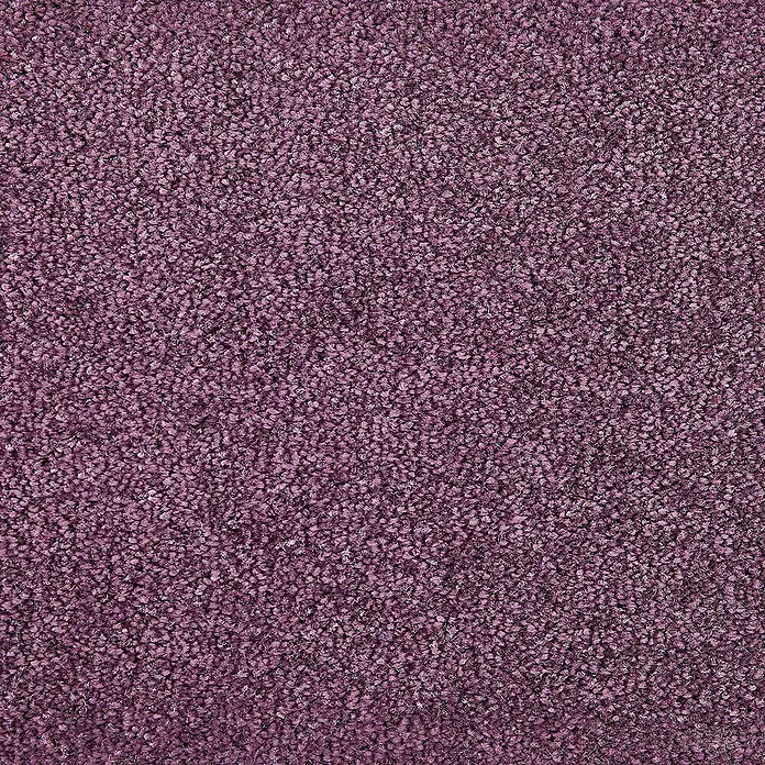 Bricoflor Teppichboden Meterware 9x4m, Velours Hochflor, lila altrosa - Velours, 100 % Polypropylen (PP), lila altrosa - Tiefvioletter, plüschiger Teppich für gemütliche und stilvolle Bodenbeläge.