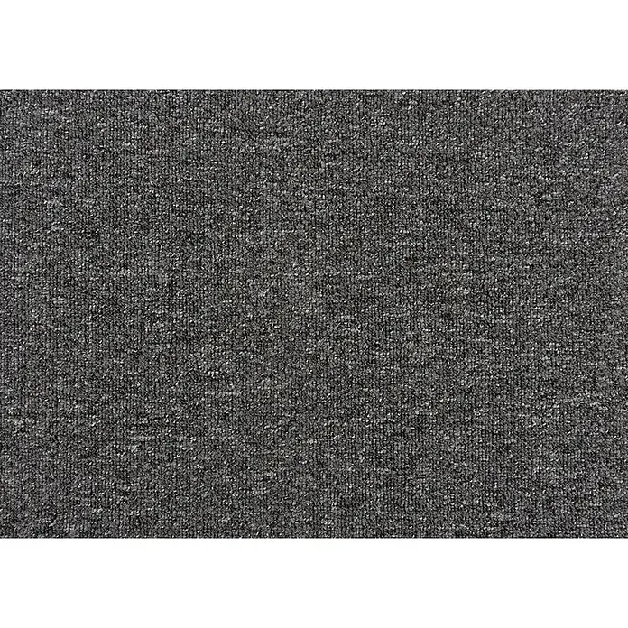 Bricoflor Teppichboden Meterware 8x4m, Schlinge gemustert, dunkel-grau anthrazit - Schlinge, 100 % Polypropylen (PP), dunkel-grau anthrazit - Dunkelgraue melierte Teppichtextur für strapazierfähigen Bodenbelag.