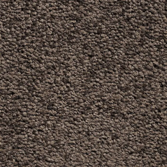 Bricoflor Teppichboden Meterware 5,5x5m, Velours Hochflor, braun grau - Velours, 100 % Polypropylen (PP), braun grau - Brauner Schlingenflorteppich mit weicher, strukturierter Oberfläche.