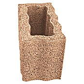 Pflanzstein Rasterstein (Mediterran, 40 x 20 x 25 cm, Beton)
