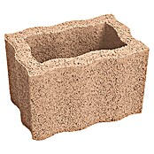 Pflanzstein Rasterstein (Mediterran, 30 x 20 x 20 cm, Beton)